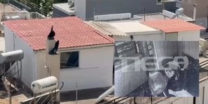 σπίτι Περιστέρι