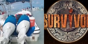 survivor