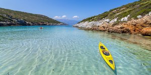 κιτρινο κανο