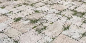 Πλακόστρωτο με ζιζάνια