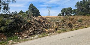 Εργασίες καθαρισμού οικοπέδων για την αντιπυρική περίοδο – Φωτ. αρχείου ΙΝΤΙΜΕ