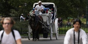 Βόλτα με άμαξα στο Central Park