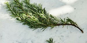 Δενδρολίβανο: Το αρωματικό φυτό που φρεσκάρει και θωρακίζει το σπίτι -Κρατά τα ανεπιθύμητα έντομα μακριά
