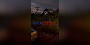 Δένδρο γραμμές ηλεκτροδότησης