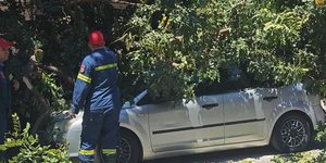 Δέντρο καταπλάκωσε όχημα, με οδηγό εντός, στη Μιχαλακοπούλου