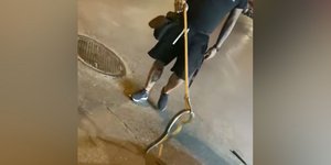 Απομακρύνθηκε με ειδική λαβίδα το φίδι από τη μηχανή του αυτοκινήτου