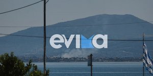 Φωτιά στην Εύβοια