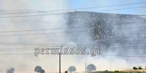 Φωτιά τώρα κοντά στην Εθνική Οδό στο ύψος της Ριτσώνας