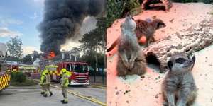 Φωτ.  Hertfordshire Fire and Rescue Service - Tiktok