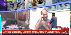 Ο 55χρονος στον οποίον επιβλήθηκε πρόστιμο 270.000 ευρώ γιατί εγκατέλειψε εννέα γατάκια