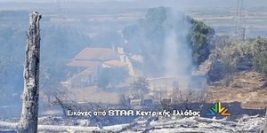 Φωτιά στην Πέτρα Βοιωτίας