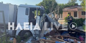 Τον τσίμπησε έντομο και έχασε τον έλεγχο