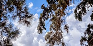 Αίθριος ο καιρός σήμερα 