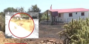 Η στιγμή που 57χρονη γυναίκα φέρεται να βάζει φωτιά σε οικόπεδο στα Ίσθμια Κορίνθου