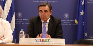 Ο Μαργαρίτης Σχοινάς
