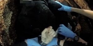  Η αστυνομία συνέλαβε ετοιμοθάνατο φοιτητή στη Βρετανία