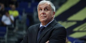Ζέλικο Ομπράντοβιτς