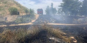 Δείτε τι κατέκαψε η φωτιά στη Φιλοθέη