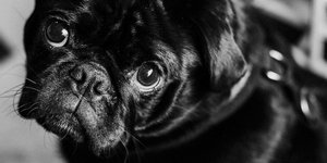 Φωτογραφία: unsplash/@priscilladupreez