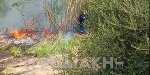 Φωτιά σε καλαμιές στη Ρόδο