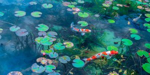Η «Λίμνη Μονέ» στο Γκίφου της Ιαπωνίας - Shutterstock