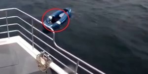 Διάσωση σκύλου σε καγιάκ