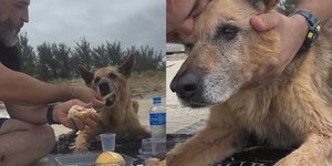 Ο Ηρακλής πέρασε την τελευταία του μέρα γεμάτος αγάπη και φροντίδα /