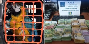 Έλεγχοι ΑΑΔΕ