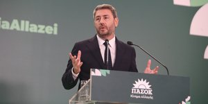 Ο πρόεδρος του ΠΑΣΟΚ, Νίκος Ανδρουλάκης