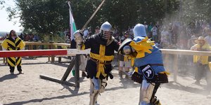 Μεσαιωνική μάχη της Δανίας