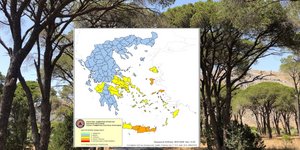 χαρτης δασος