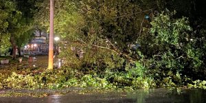 Ισχυροί άνεμοι έριξαν δέντρα και κολώνες ηλεκτροδότησης στη Δράμα