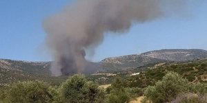 Φωτιά στην Αγία Ελένη Τροιζήνας