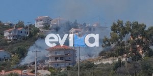 Φωτιά στο Αλιβέρι Εύβοιας