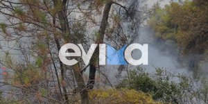 Φωτιά τώρα στην Εύβοια