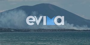 Φωτιά στην Χαλκίδα