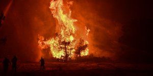 Wildfire