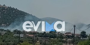 Φωτιά στο Μηλάκι στην Εύβοια