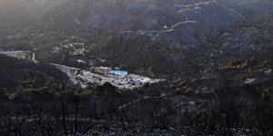 Καμένες εκτάσεις στην Αλγερία