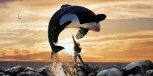 Σκηνή από την ταινία Free Willy 