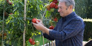 Οι ντομάτες που καλλιεργούμε στον κήπο μας σπάνια φτάνουν τη γεύση εκείνων που θυμόμαστε από τις διακοπές μας στην Ιταλία / UNSPLASH