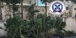 κάνναβη