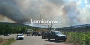 Φωτιά στη Φθιώτιδα