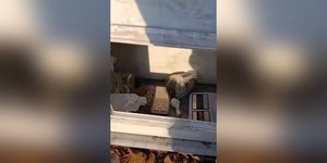 Απίστευτο: 36χρονος από την Αλεξάνδρεια έκρυβε ναρκωτικά και ζυγαριές ακριβείας στον τάφο συγγενή του