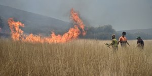 Μεγάλη φωτιά στη Βοιωτία
