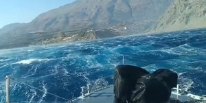 καικι ψαρα