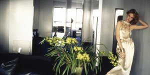 Δεντρολίβανο, βασιλικός και άλλα τρία φυτά που κρατούν τα κουνούπια μακριά -Για φυσική προστασία στο σπίτι