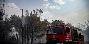 Φωτιά στο δάσος του Σέιχ Σου