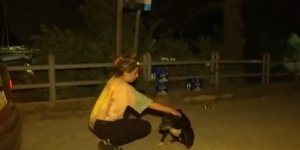 Εθελόντρια φροντίζει σκυλάκι