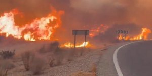 Δώδεκα νεκροί από δασική πυρκαγιά στην Ανδαλουσία